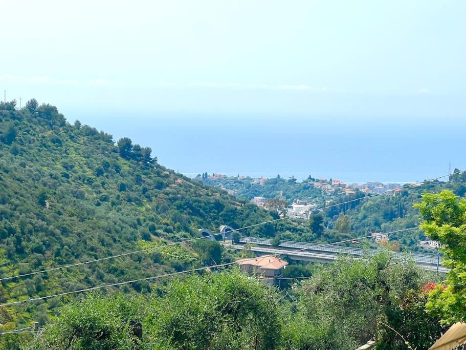Garden, Bbq And Seaview - *